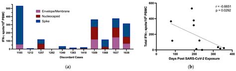 Cellular Immune Responses to SARS-CoV-2 in Exposed Seronegative Individuals