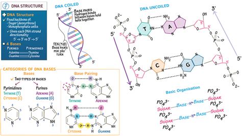 Image result for DNA Microarray Kit