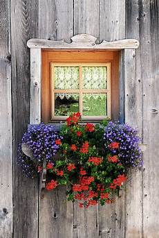 fioriere da davanzale finestre fiorite porte e finestre fioriere finestra fioriere da davanzale finestre fiorite porte e finestre fioriere finestra