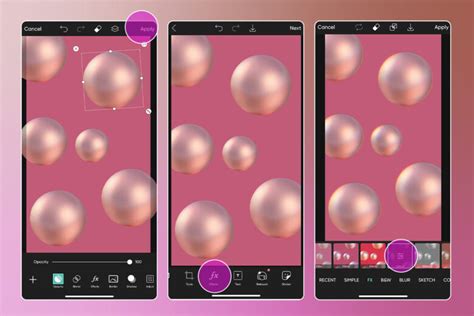 Rose Color 的图像结果