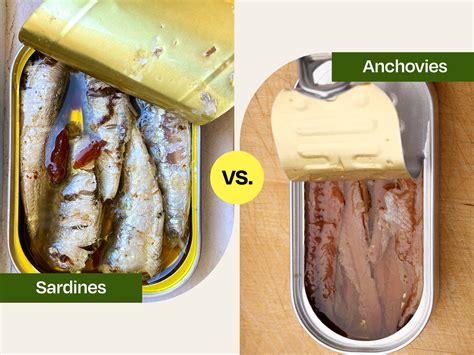 The 9 Most Popular Types of Shellfish | The Kitchn