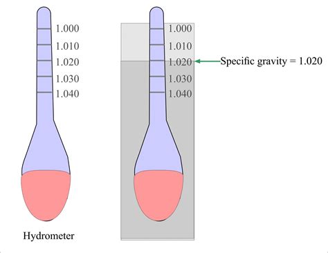 Urine Specific Gravity Range