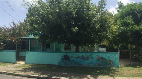 CASITA TROPICAL INN (Culebra) - Guesthouse Reviews & Photos - Tripadvisor
