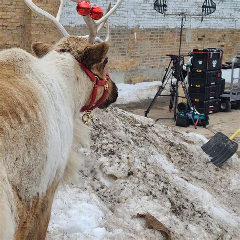 From Hardy’s Reindeer Ranch to ‘Big Screen’: Jingles makes holiday ...