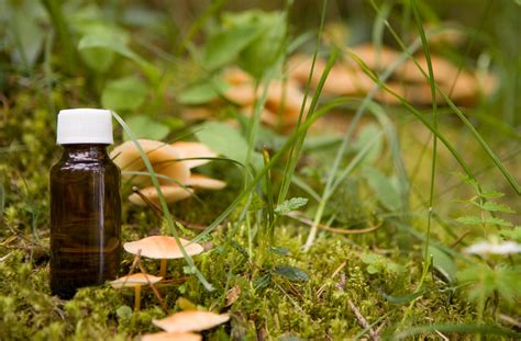 Why Inflammation Matters