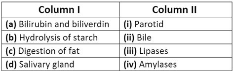 Digestion and Absorption (Old NCERT) NCERT Solutions - General Science ...