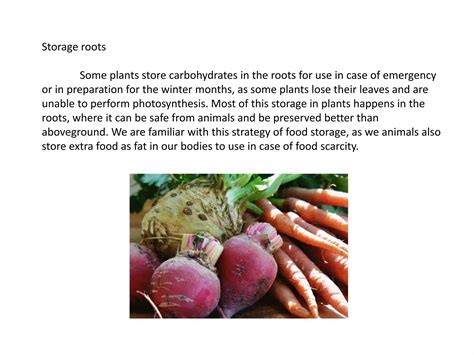 Image result for Root Modification Class 5