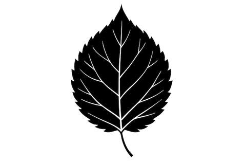 Silhouette de feuille de bouleau Icône vectorielle de feuille d ...