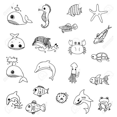 Marine Animals Drawing at GetDrawings | Free download