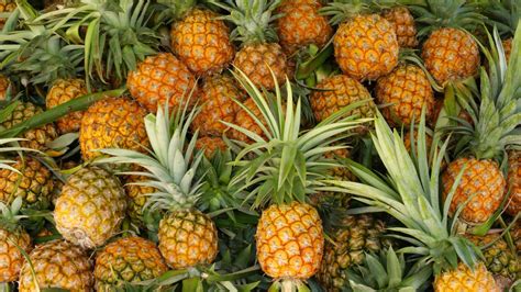 What Does a Pineapple Mean? The Ultimate Guide