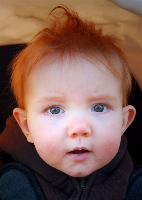 Cute baby boy Noah portret by Cynthia van Vroenhoven | Redheads ...