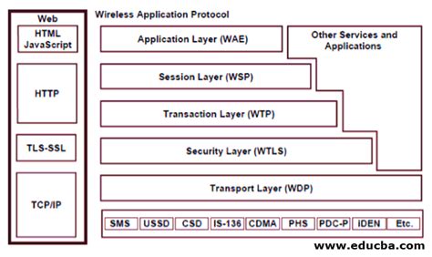 WAP Architecture | What is WAP Architecture and its Components?