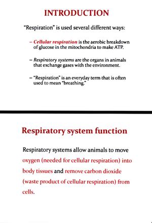 5595 - Epidural Anaesthesia and spinal Anaesthesia - Chapter 17 SPINAL ...