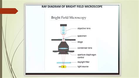 Bright field simple microscope | PPTX