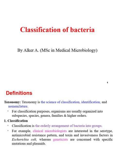 Image result for Types of Bacteria Classification