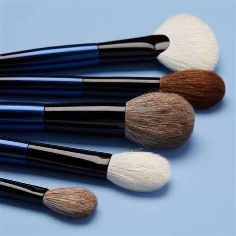 Beautylish X Sonia G: Face Brush Set | Makeup FOMO | Face brush set ...