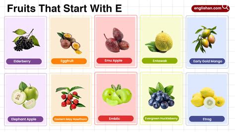 56 Fruits That Start With E in English