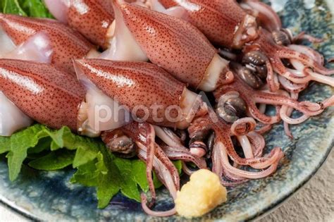 Image result for Alien Predator Goo