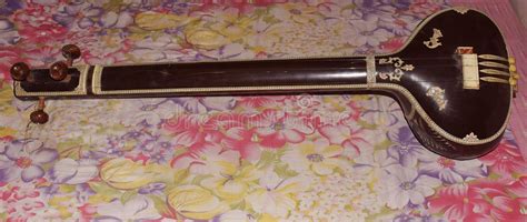 Image result for Indian String Instruments