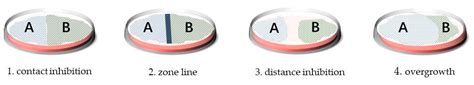 Exploring Diverse Bioactive Secondary Metabolites from Marine ...