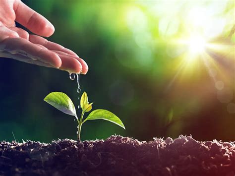 Carbon emission: Earth is healing as world carbon pollution falls 17% ...