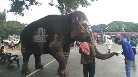 Bandipur Images - Vacation Pictures of Bandipur, Chamarajanagar ...