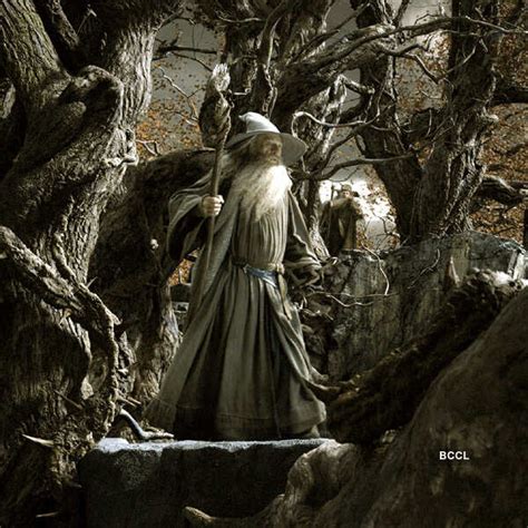 Ian McKellen in a still from the Hollywood movie The Hobbit: The ...