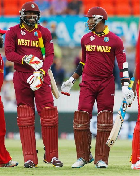 Image result for CWC Semi Final 2015