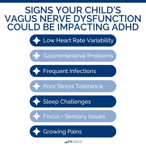 A Look at the Vagus Nerve and ADHD | PX Docs