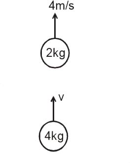 Two balls are moving towards each other on a vertical line collides ...