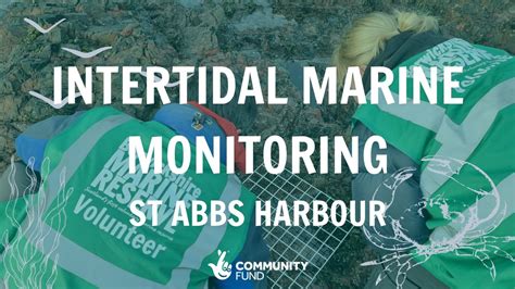 Intertidal Marine Monitoring - St Abbs Harbour, St. Abbs Harbour ...