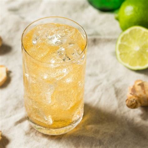 Ginger Beer Recipe (Alcoholic and Non-Alcoholic) – Gutbasket