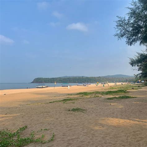 SAMI BEACH HUTS (Agonda, Goa) - Lodge Reviews & Photos - Tripadvisor