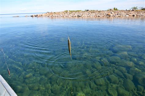 Fishing the Great Bear Lake Deline Northwest Territories I Passed ...