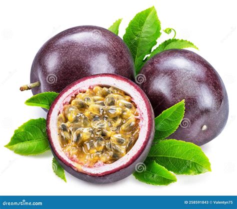 Dark Purple Passion Fruits or Maracuja with Green Leaves on White ...