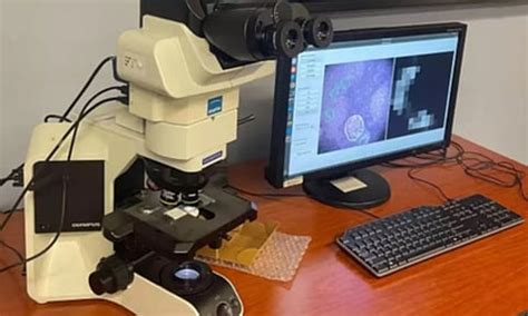 Google, US Defense dept to build AI-powered microscope to spot cancer