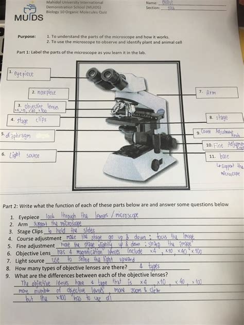 Microscope Lab Activity 的图像结果