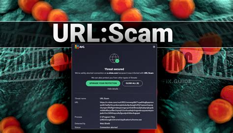 URL:Scam | What Is a Scam Detection of Avast? — How To Fix Guide