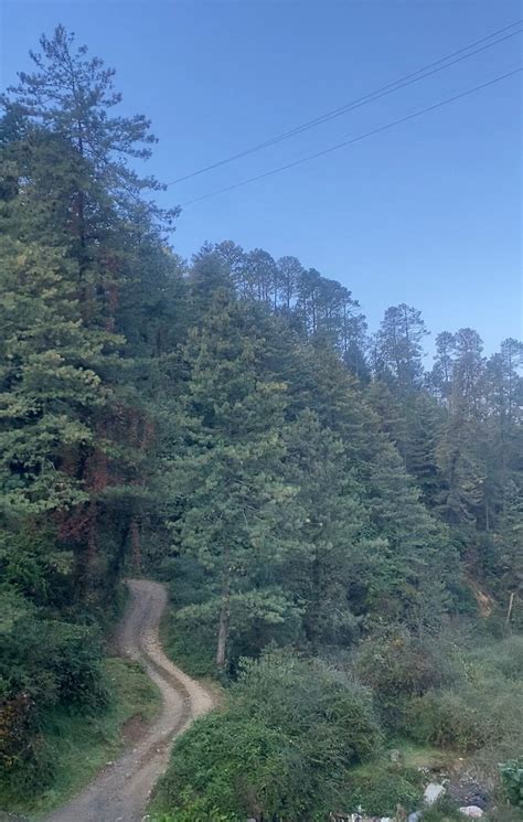 BACKWOODS RETREAT (Shimla, Himachal Pradesh) - Hotel Reviews, Photos ...