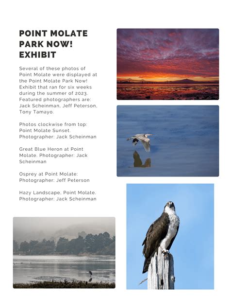 View stunning photographs of Point Molate by local photographers ...