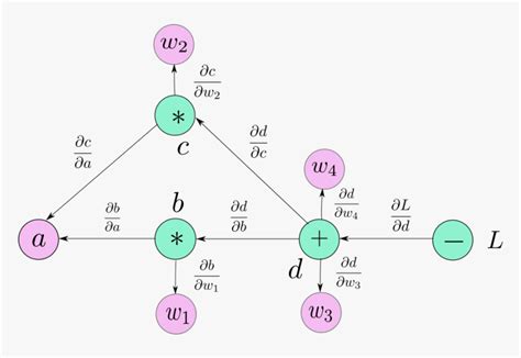 Image result for Pytorch Autograd Chain