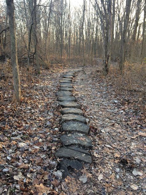 Alum Creek Beginner Trail Mountain Bike Trail in Lewis Center, Ohio - Directions, Maps, Photos ...