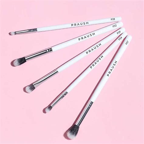 5 Pcs Professional Eye Blending Brush Set – Praush