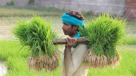 Centre approves Rs 2516 crore for computerization of 63000 PACS ...