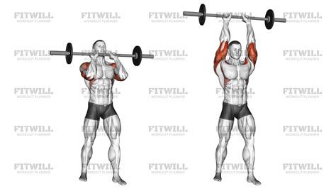Barbell Standing Close Grip Military Press: Exercise Guide, Video ...
