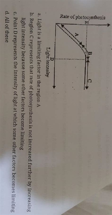 Chlorophylliii. The following graph shows the effect of light intensity ...