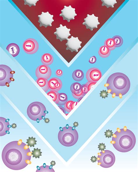 Immune ‘dysregulation’ present prior to infection predicts severe responses