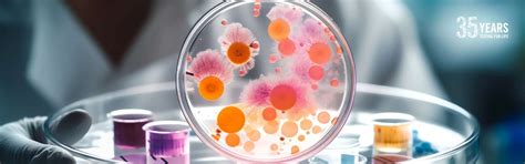 Contaminants Testing in India | Eurofins India