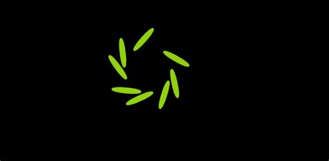 Loading Animation MWLA-102