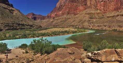 Little Colorado River merging with the Colorado River in Grand Canyon ...